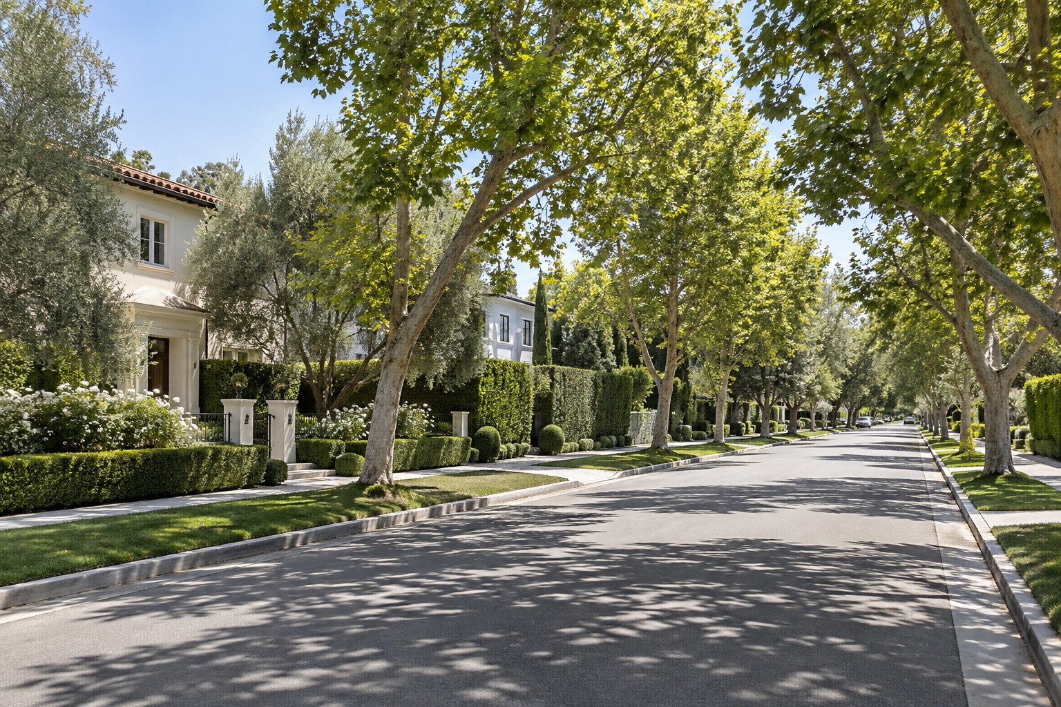 A Los Angeles Westside residential street, illustrative